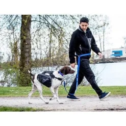 Outlet RC Dog Active Leash Black Supplies Leashes, Collars, Beds, Flea & Tick, Etc.