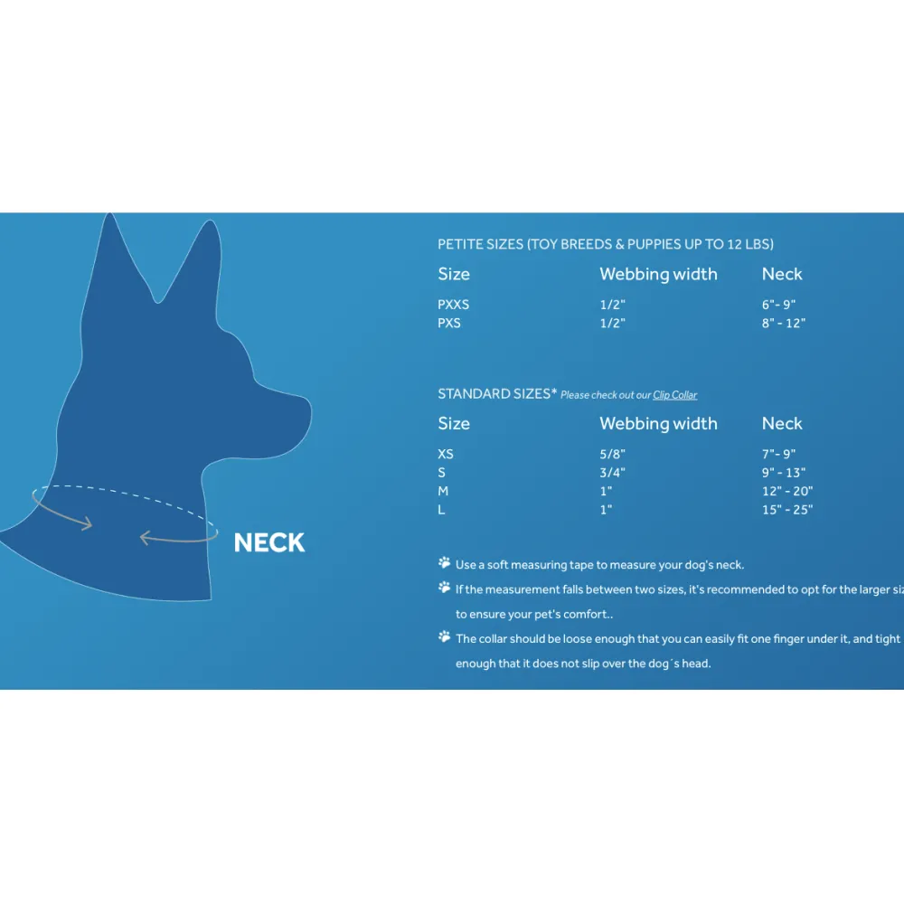 Best Rc Dog Collar Jurassic Pack Supplies Leashes, Collars, Beds, Flea & Tick, Etc.