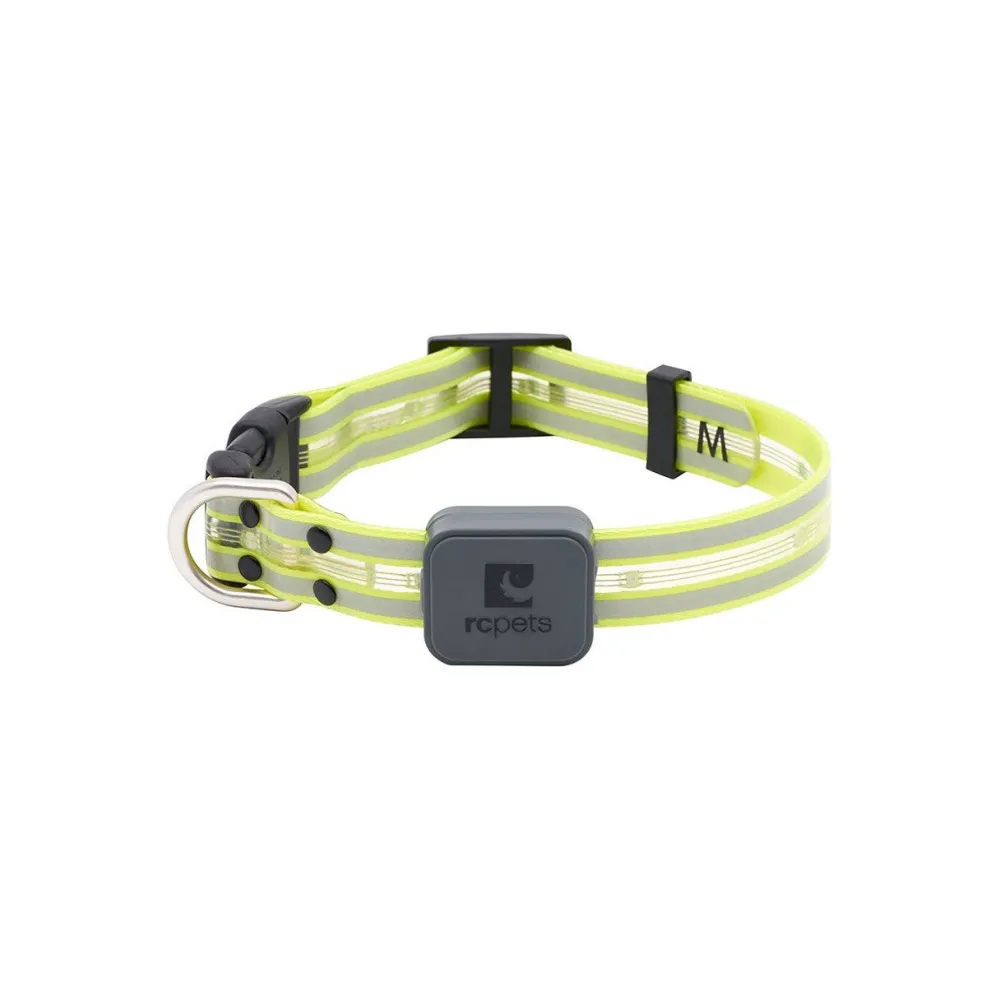 Best Rc Dog Collar Nova Led Light Tennis Supplies Leashes, Collars, Beds, Flea & Tick, Etc.
