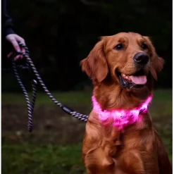 New Rc Dog Collar Nova Led Light Black Supplies Leashes, Collars, Beds, Flea & Tick, Etc.