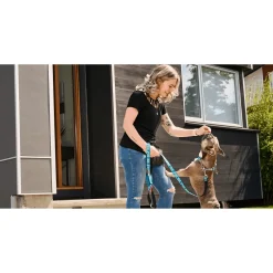 Outlet RC Dog Leash Deco Supplies Leashes, Collars, Beds, Flea & Tick, Etc.