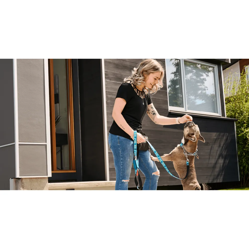 Sale RC Dog Leash Fresh Tracks Pink Supplies Leashes, Collars, Beds, Flea & Tick, Etc.