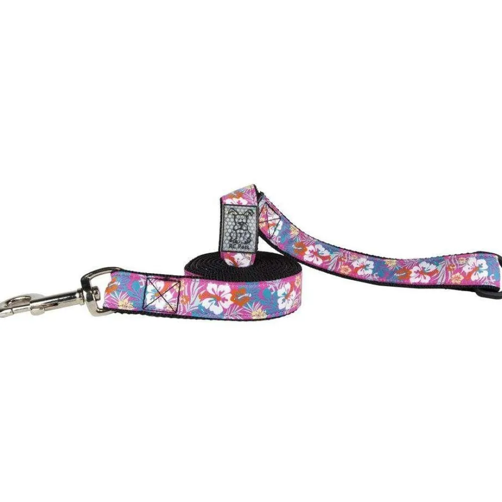 Best RC Dog Leash Hibiscus Supplies Leashes, Collars, Beds, Flea & Tick, Etc.