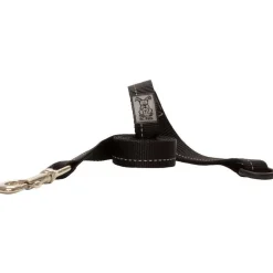 New RC Dog Leash With Primary Colour Black Supplies Leashes, Collars, Beds, Flea & Tick, Etc.