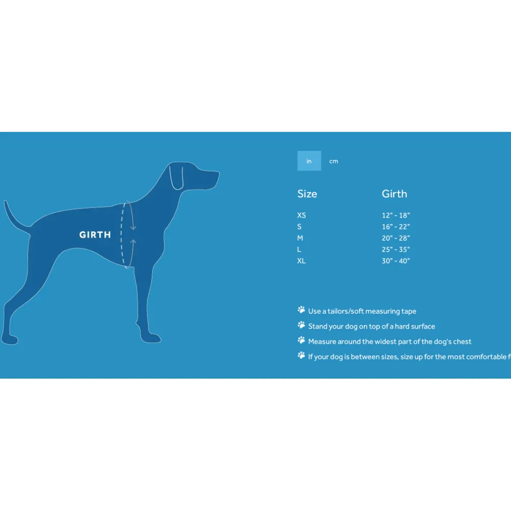 Clearance RC Dog Pace No Pull Harness Black Supplies Leashes, Collars, Beds, Flea & Tick, Etc.