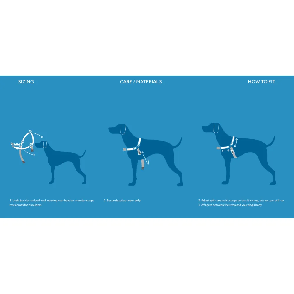 Clearance RC Dog Pace No Pull Harness Black Supplies Leashes, Collars, Beds, Flea & Tick, Etc.