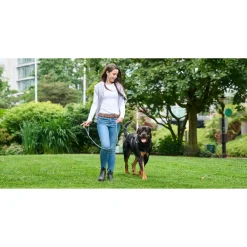 Discount RC Dog Rope Leash Dark Teal Supplies Leashes, Collars, Beds, Flea & Tick, Etc.