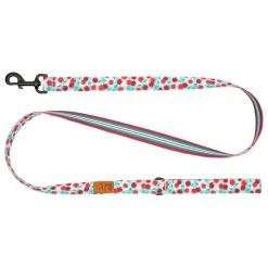 Sale RC Eco Dog Leash Cherry Picnic & Orchard Stripe Supplies Leashes, Collars, Beds, Flea & Tick, Etc.