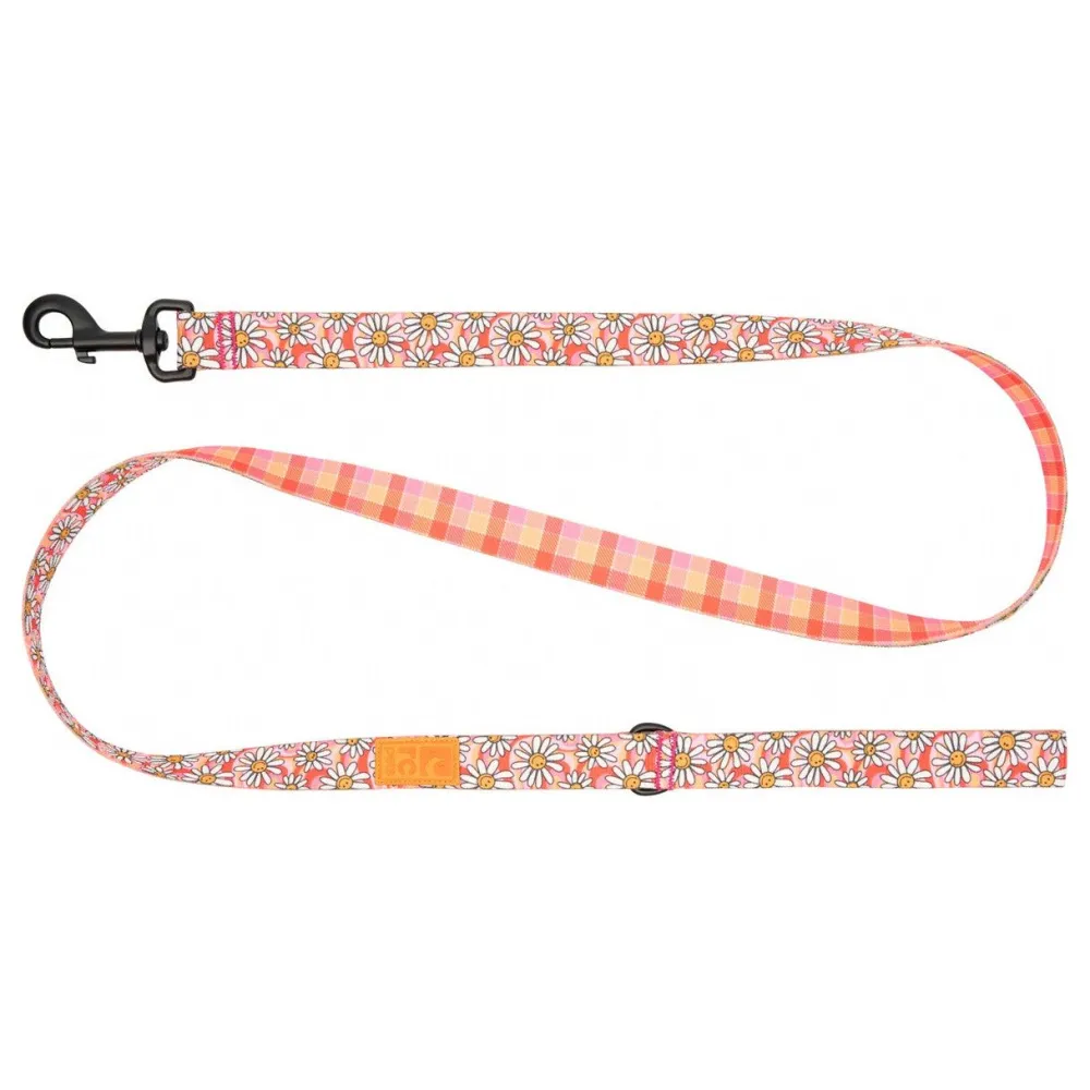 Clearance RC Eco Dog Leash Daisy Joy & Gleeful Gingham Supplies Leashes, Collars, Beds, Flea & Tick, Etc.