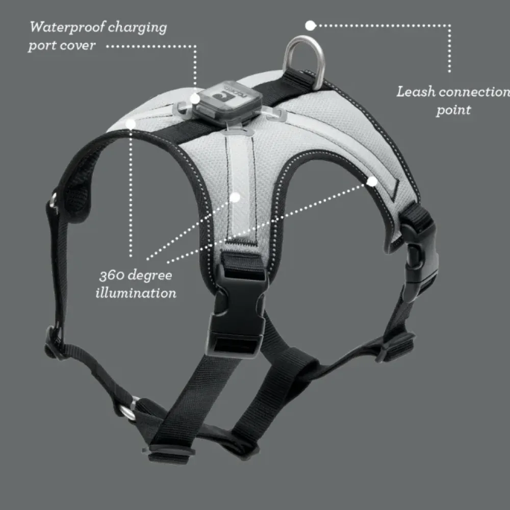 Best Rc Harness Nova Led Light Black/Grey Supplies Leashes, Collars, Beds, Flea & Tick, Etc.