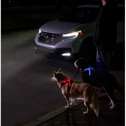 Best Rc Harness Nova Led Light Black/Grey Supplies Leashes, Collars, Beds, Flea & Tick, Etc.