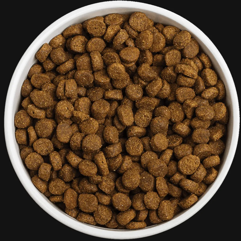 Clearance Grain-Free Sky Recipe Dog Food Food Dry, Wet, Freeze Dried, Etc.