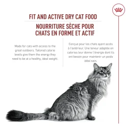 Sale Adult Fit & Active Dry Instinctive Cat Food Dry Food Dry Cat Food