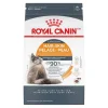 Best Adult Hair And Skin Care Dry Cat Food Dry Food Dry Cat Food