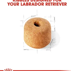Hot ® Breed Health Nutrition® Labrador Retriever Adult Dry Dog Food Food Dry, Wet, Freeze Dried, Etc.