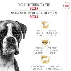 Outlet Breed Health Nutrition Boxer Adult Dry Dog Food Food Dry, Wet, Freeze Dried, Etc.