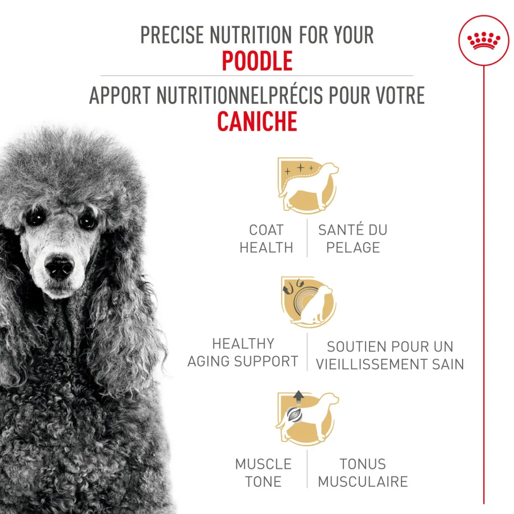 Sale ® Breed Health Nutrition® Poodle Adult Dry Dog Food Food Dry, Wet, Freeze Dried, Etc.