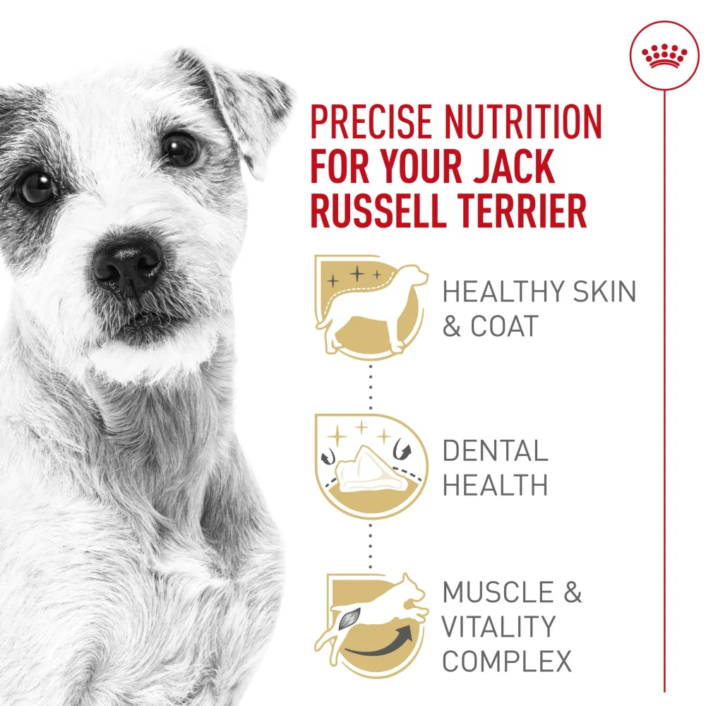 Discount Breed Health Nutrition Jack Russell Terrier Adult Dry Dog Food Food Dry, Wet, Freeze Dried, Etc.