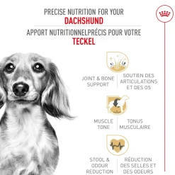 Online Breed Health Nutrition Dachshund Adult Dry Dog Food Food Dry, Wet, Freeze Dried, Etc.