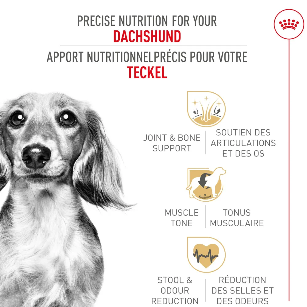 Online Breed Health Nutrition Dachshund Adult Dry Dog Food Food Dry, Wet, Freeze Dried, Etc.