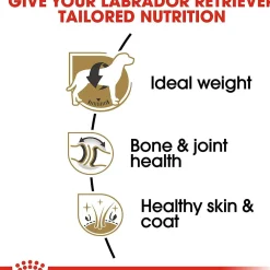 Hot ® Breed Health Nutrition® Labrador Retriever Adult Dry Dog Food Food Dry, Wet, Freeze Dried, Etc.