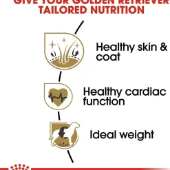 Best Breed Health Nutrition Golden Retriever Adult Dry Dog Food Food Dry, Wet, Freeze Dried, Etc.