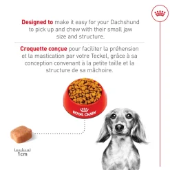 Online Breed Health Nutrition Dachshund Adult Dry Dog Food Food Dry, Wet, Freeze Dried, Etc.