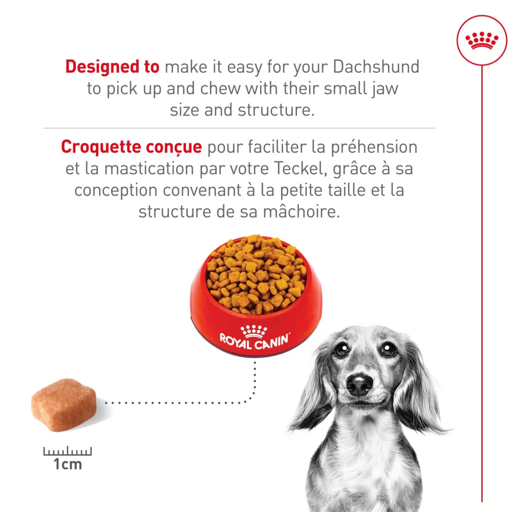 Online Breed Health Nutrition Dachshund Adult Dry Dog Food Food Dry, Wet, Freeze Dried, Etc.