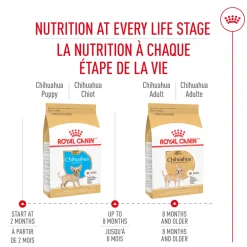 Online Breed Health Nutrition Chihuahua Puppy Dry Dog Food Food Dry, Wet, Freeze Dried, Etc.
