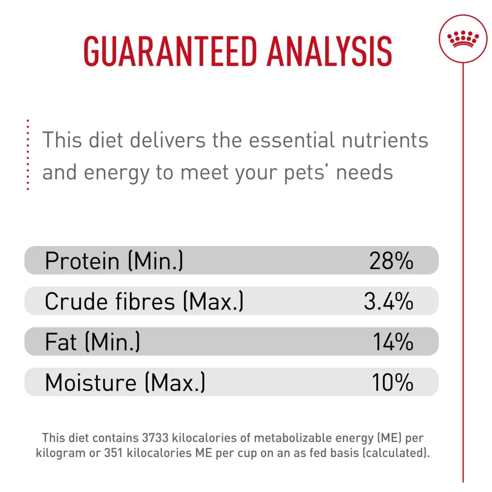 Discount Breed Health Nutrition Jack Russell Terrier Adult Dry Dog Food Food Dry, Wet, Freeze Dried, Etc.