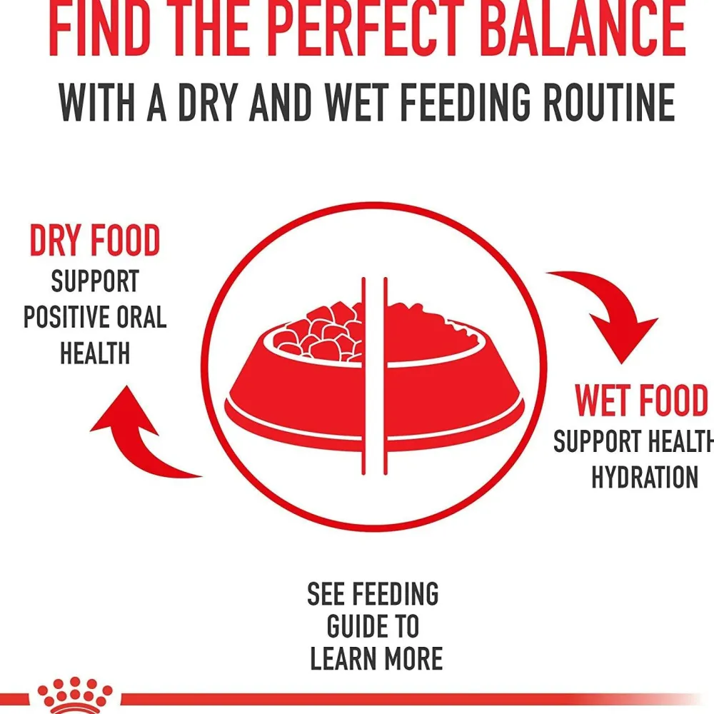 Best Breed Health Nutrition Golden Retriever Adult Dry Dog Food Food Dry, Wet, Freeze Dried, Etc.