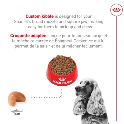 New Breed Specific Cocker Spaniel Dog Food Food Dry, Wet, Freeze Dried, Etc.