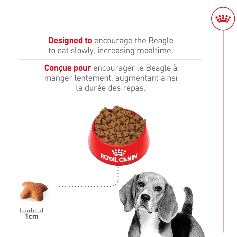 Outlet Breed Specific Beagle Adult Dog Food Food Dry, Wet, Freeze Dried, Etc.