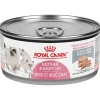 Online Canned Cat Food Babycat Ultra Soft Mousse Loaf In Sauce Wet Food Cans, Pouches, Tetra Paks, Etc.
