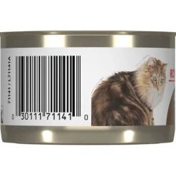 Fashion Canned Cat Food Ageing 12+ Loaf In Sauce Wet Food Cans, Pouches, Tetra Paks, Etc.