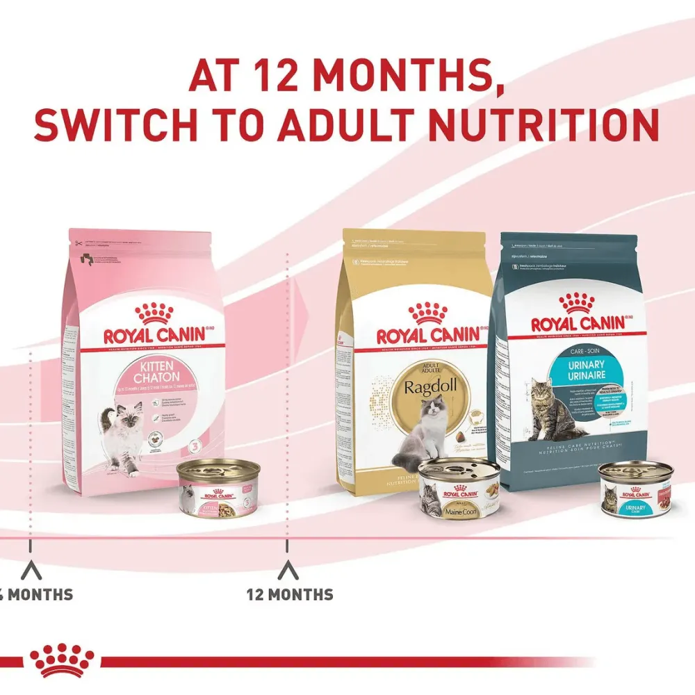 Clearance Canned Kitten Food Instinctive Thin Slices In Gravy Wet Food Cans, Pouches, Tetra Paks, Etc.