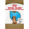 Clearance Dachshund Puppy Food Food Dry, Wet, Freeze Dried, Etc.