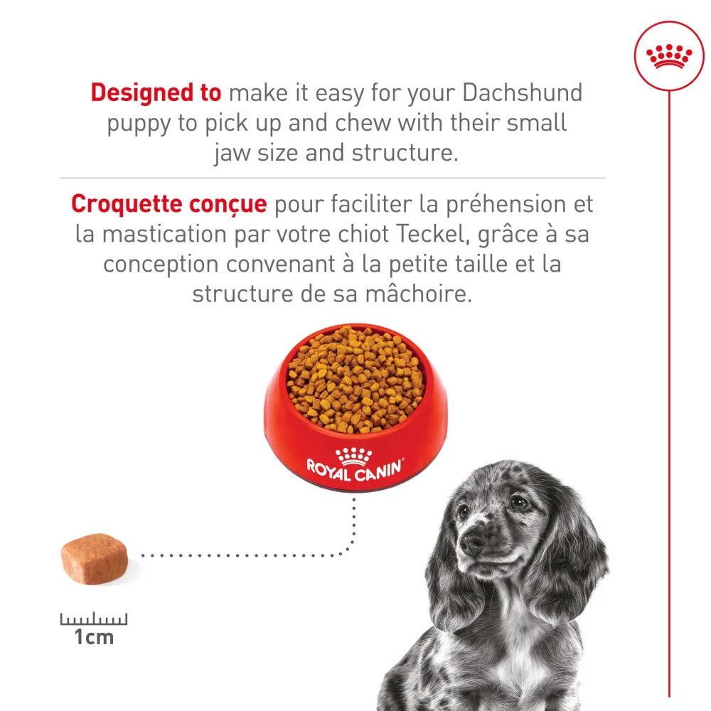 Clearance Dachshund Puppy Food Food Dry, Wet, Freeze Dried, Etc.