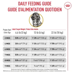 Clearance Dachshund Puppy Food Food Dry, Wet, Freeze Dried, Etc.