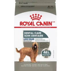 Sale Dog Food Dental Care Large Food Dry, Wet, Freeze Dried, Etc.