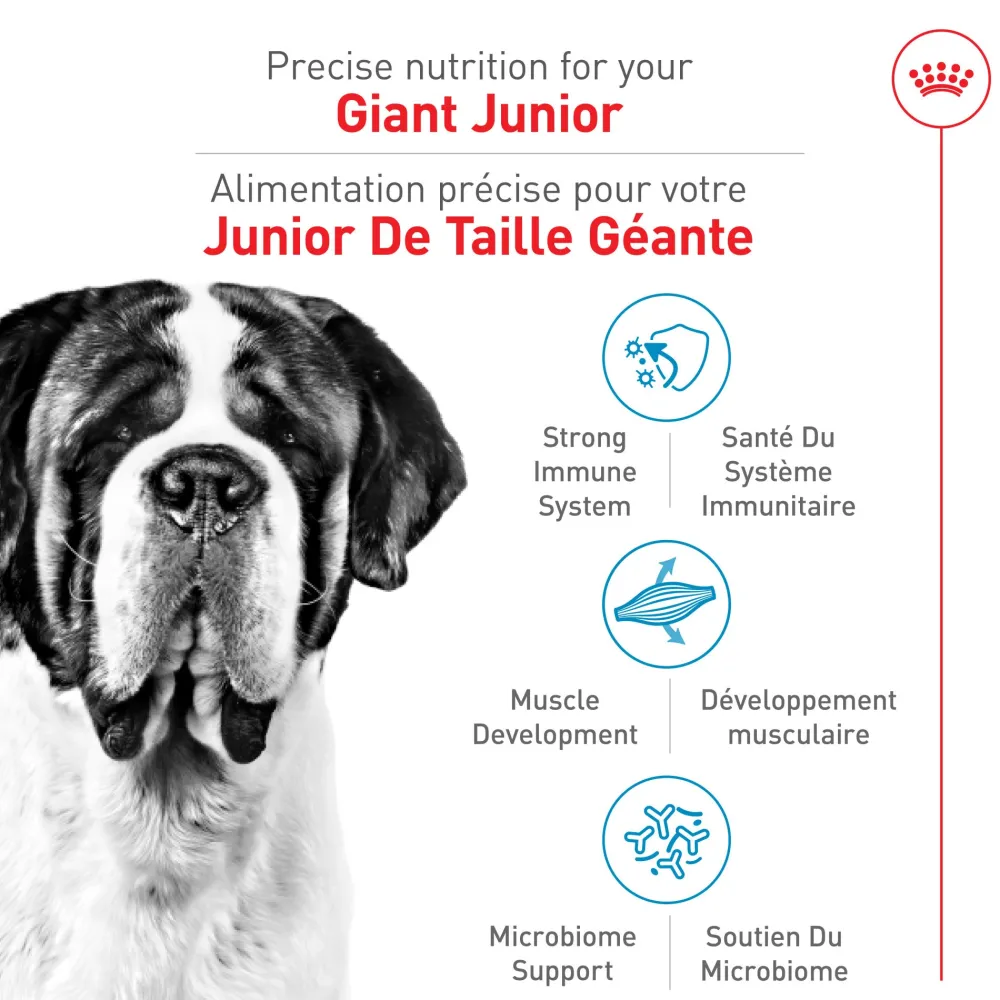 Hot Dog Food Giant Breed Junior Food Dry, Wet, Freeze Dried, Etc.