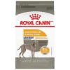 Outlet Dog Food Large Sensitive Skin Care Food Dry, Wet, Freeze Dried, Etc.