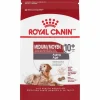 Hot Dog Food Medium Aging Care 10+ Food Dry, Wet, Freeze Dried, Etc.