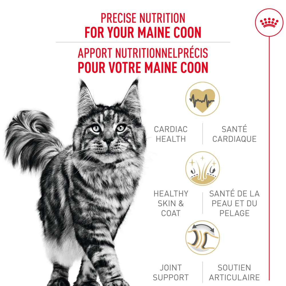 Sale ® Feline Breed Nutrition™ Maine Coon Dry Cat Food Dry Food Dry Cat Food