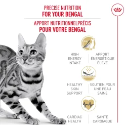 Discount Feline Breed Nutrition Bengal Adult Dry Cat Food Dry Food Dry Cat Food