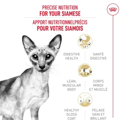 Best Feline Breed Nutrition Siamese Adult Dry Cat Food Dry Food Dry Cat Food