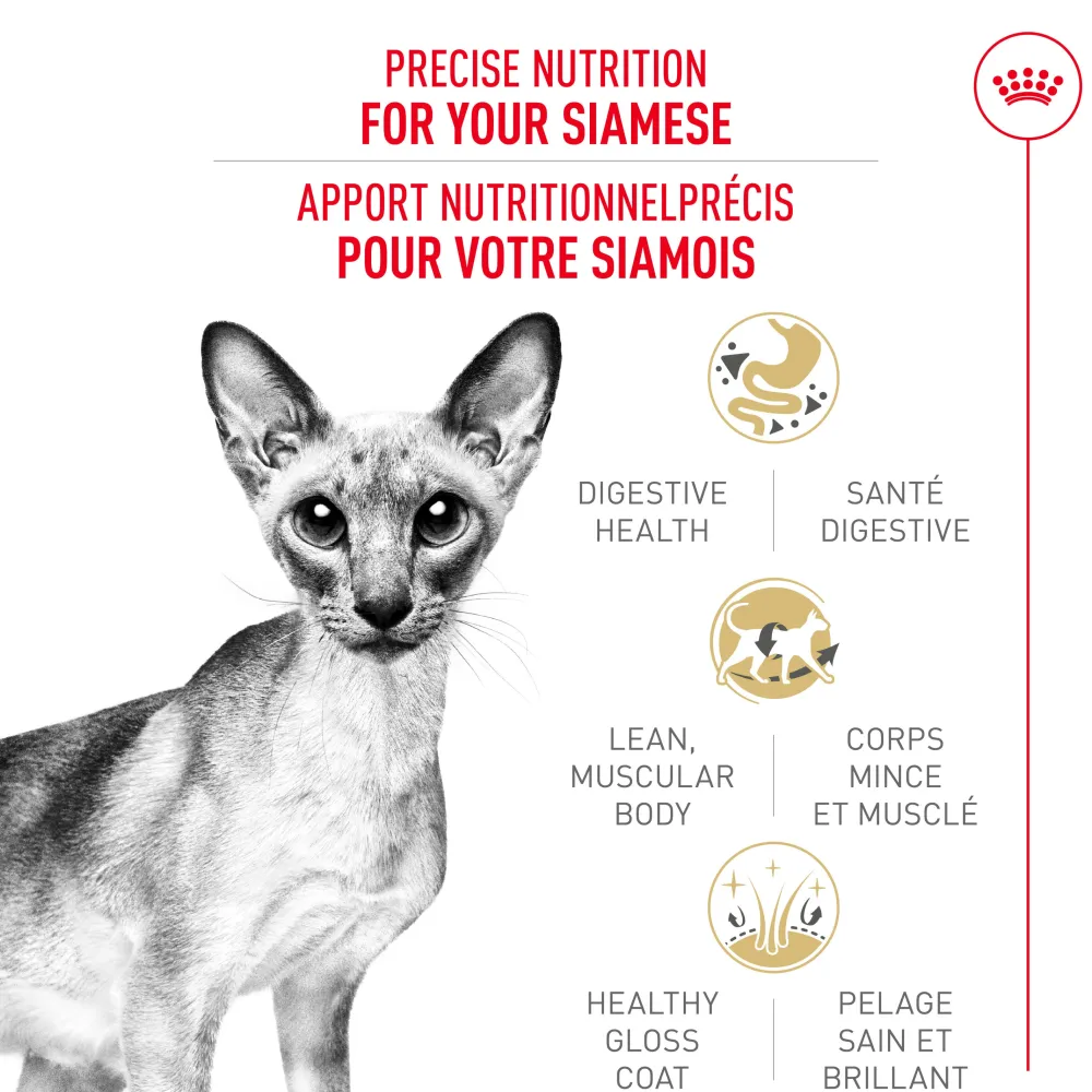 Best Feline Breed Nutrition Siamese Adult Dry Cat Food Dry Food Dry Cat Food