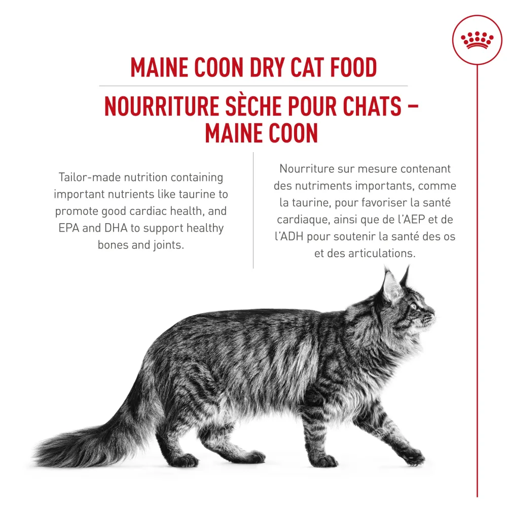 Sale ® Feline Breed Nutrition™ Maine Coon Dry Cat Food Dry Food Dry Cat Food