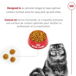 Fashion ® Feline Breed Nutrition™ Persian Adult Dry Cat Food Dry Food Dry Cat Food