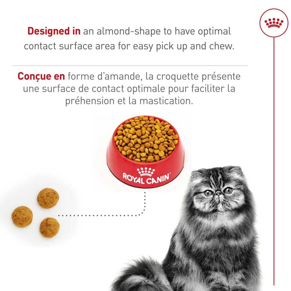 Fashion ® Feline Breed Nutrition™ Persian Adult Dry Cat Food Dry Food Dry Cat Food